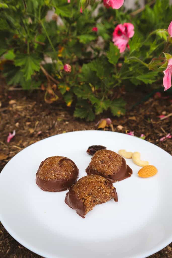 Three energy bites on a plate next to flowers in the garden.